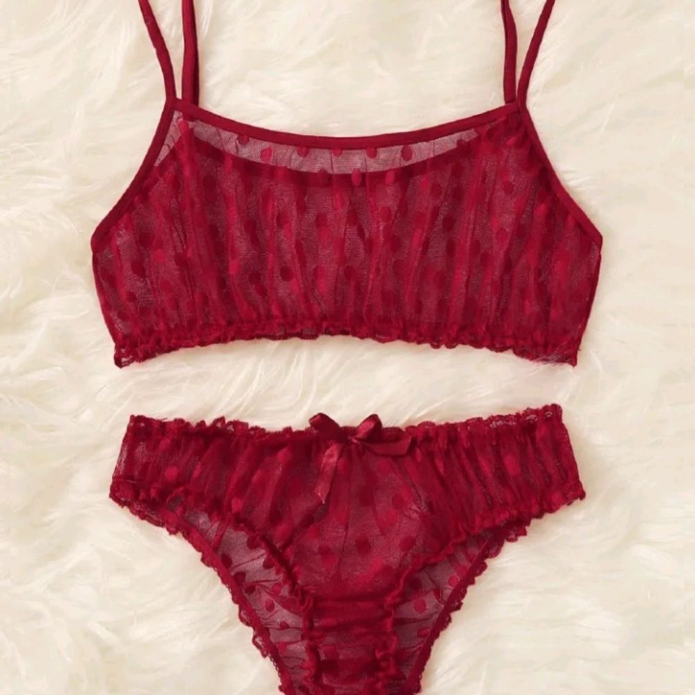 Red Polka Dot Lingerie Set • Mesh Bikini Style Lingerie Outfit - Picture 10 of 11